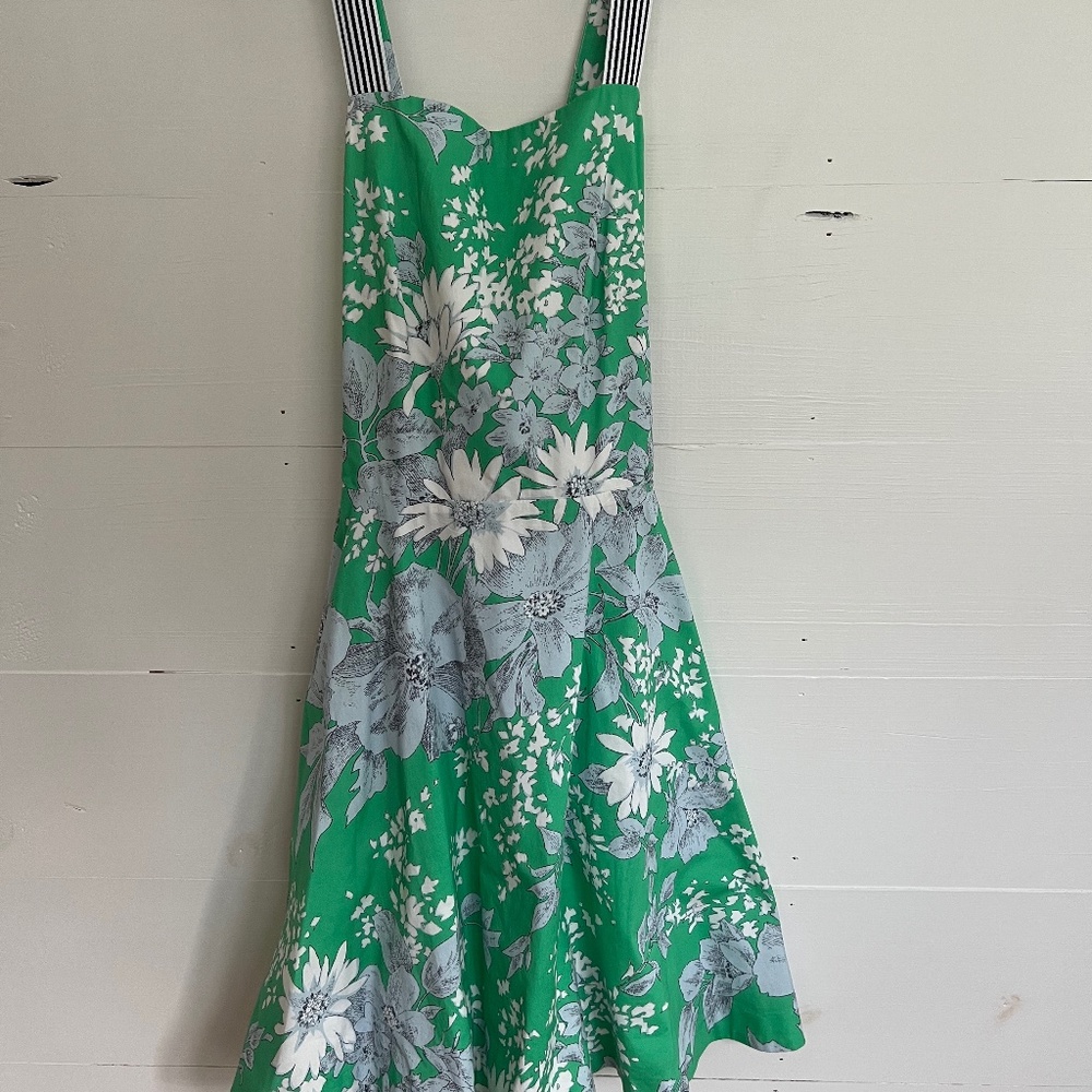 Tuckernuck Lila flare green floral dress